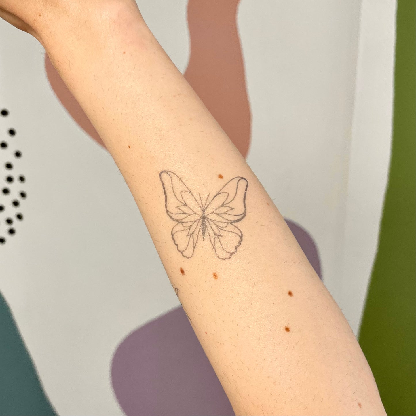 Nova - Tatouage Papillon