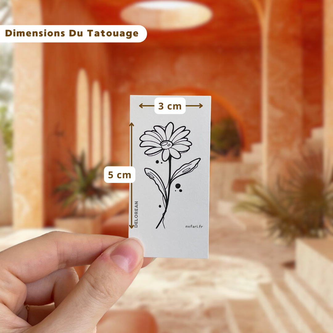 Pack Découverte Delorean II - Tatouages Éphémères