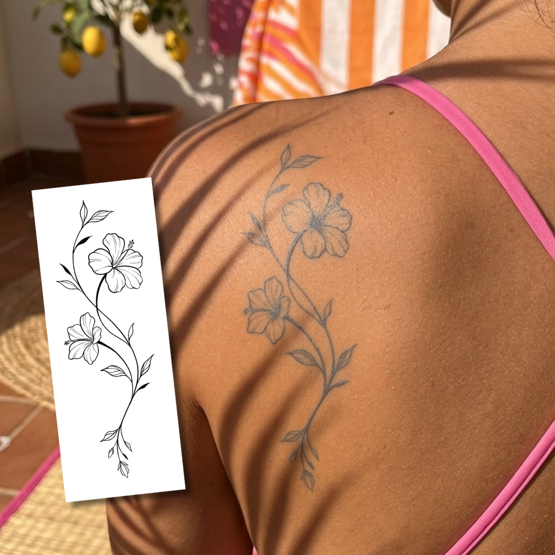 Hibiscus Ornemental