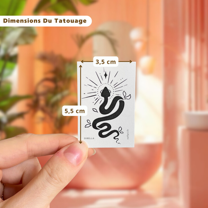 Pack Cadeau Dibella - 5 Tatouages Éphémères