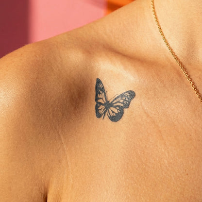 Papillon Miracle