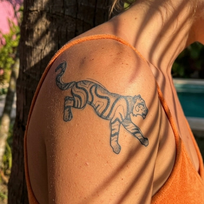 Tigre