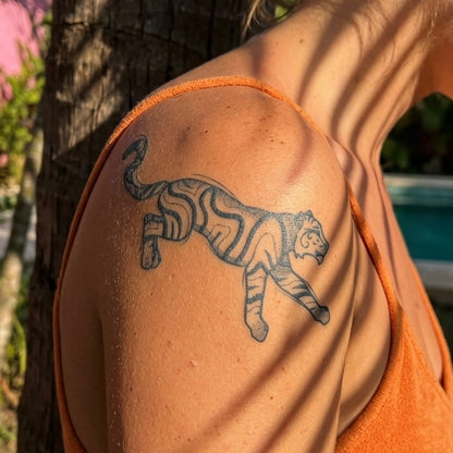 Tigre
