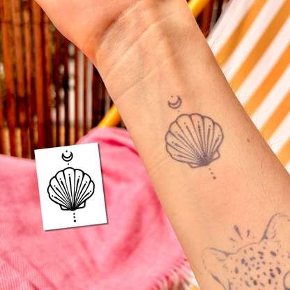 Coquillage Nocturne